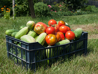 Similar image 2929339