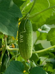 Similar image 2929340