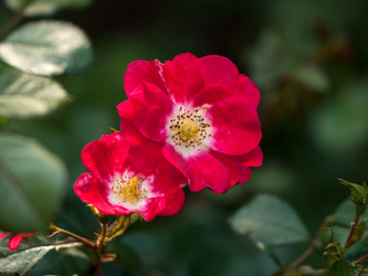 Similar image 2929343