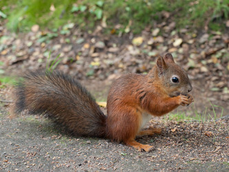 Similar image 2929344