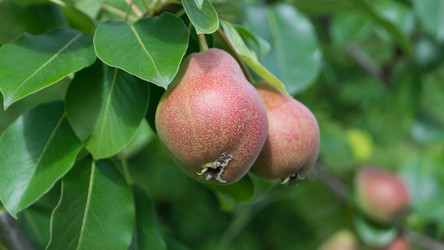 Similar image 2929364