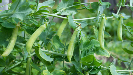 Similar image 2929365