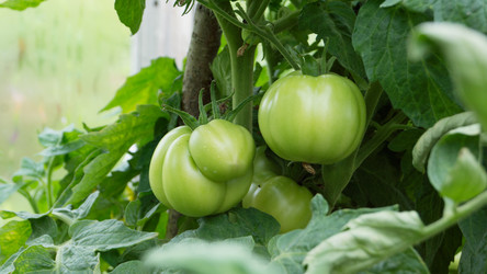 Similar image 2929367