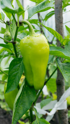 Similar image 2929368