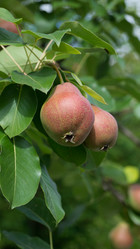 Similar image 2929370