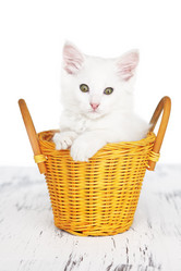 Similar image 2929472