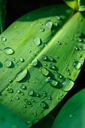 Similar image 2929502