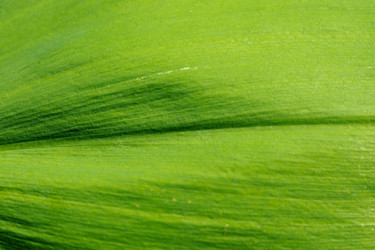 Similar image 2929515