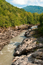 Similar image 2929532