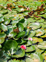 Similar image 2929542