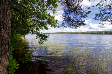 Similar image 2929574