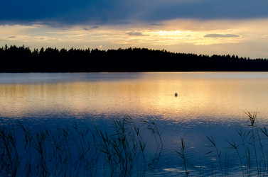 Similar image 2929577