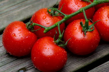 Similar image 2929614