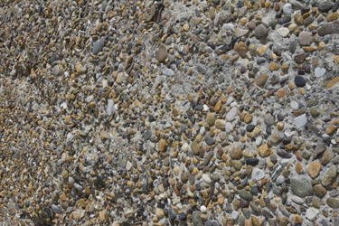 Similar image 2929695