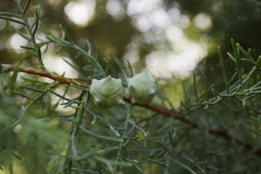 Similar image 2929705