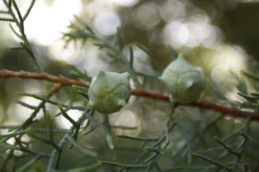 Similar image 2929706