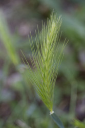 Similar image 2929708