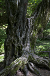 Similar image 2929709