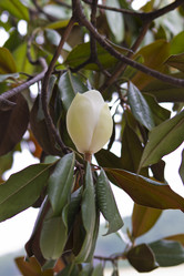 Similar image 2929721