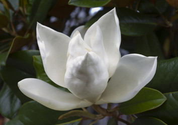 Similar image 2929731