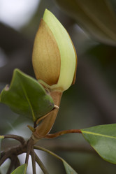 Similar image 2929735