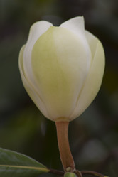 Similar image 2929736