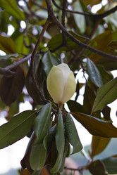 Similar image 2929739