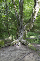 Similar image 2929740