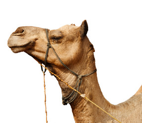 Similar image 2929767