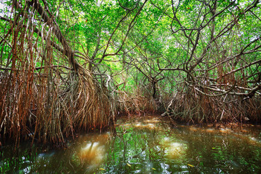 Similar image 2929776