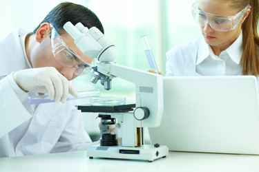 Similar image 2929984