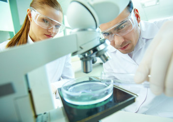 Similar image 2929985