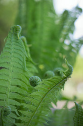 Similar image 2930059