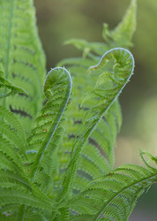 Similar image 2930060