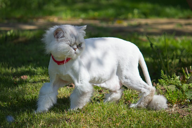 Similar image 2930061