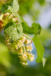 Similar image 2930075