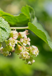 Similar image 2930076