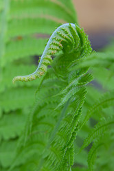 Similar image 2930077