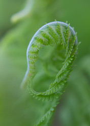 Similar image 2930078