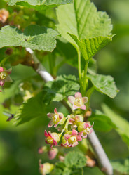 Similar image 2930081