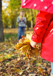 Similar image 2930947