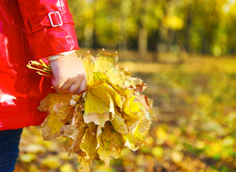 Similar image 2930959