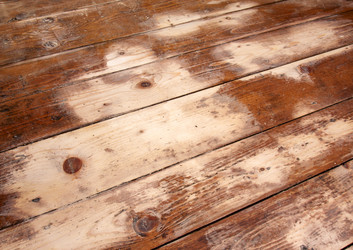 Similar image 2931345