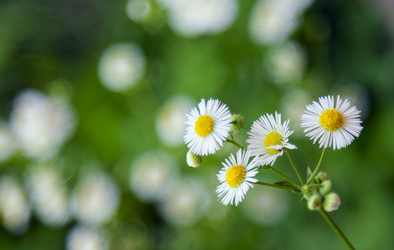 Similar image 2931348