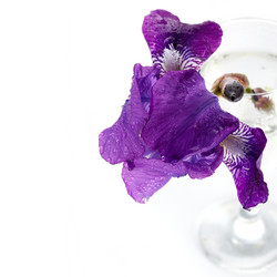 Similar image 2931389