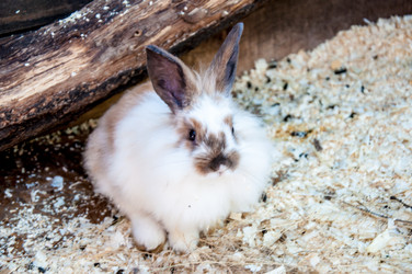 Similar image 2931494