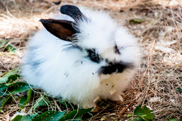 Similar image 2931495