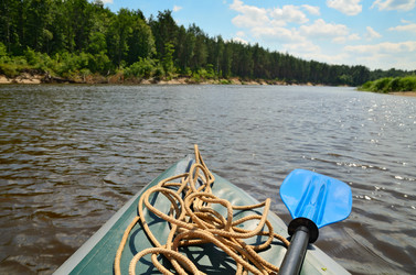 Similar image 2931522