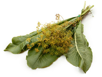 Similar image 2931540