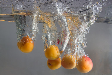 Similar image 2931549